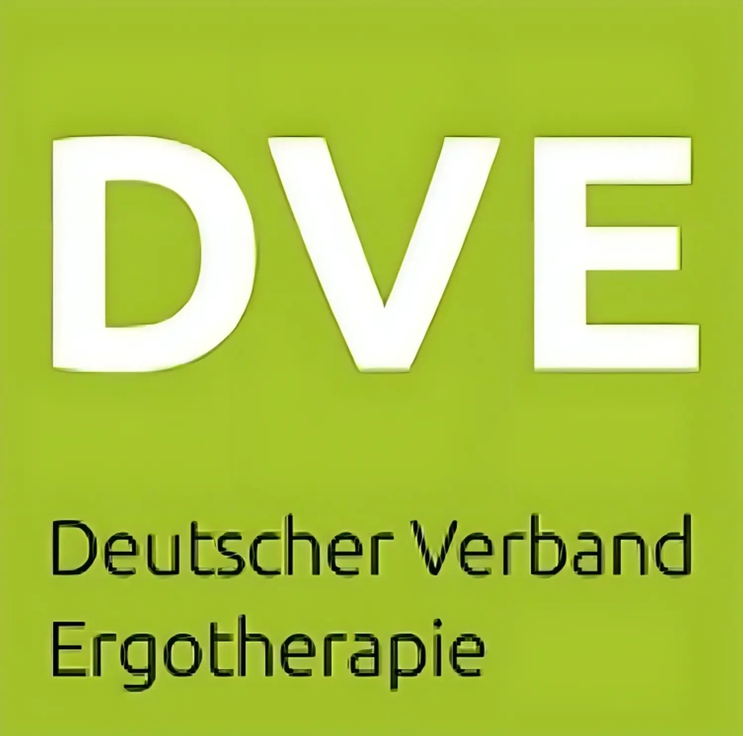 DVE logo